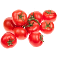 WEBP