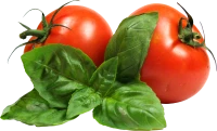 WEBP