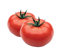 WEBP