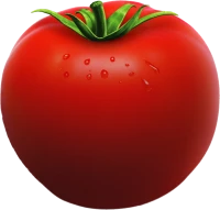 WEBP