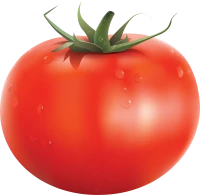 WEBP