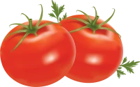 WEBP