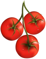 WEBP