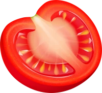 WEBP