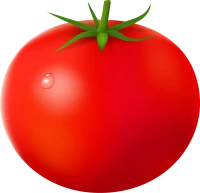 WEBP