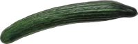 WEBP