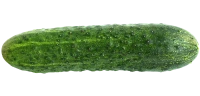 WEBP