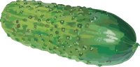 WEBP