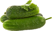 WEBP