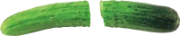 WEBP