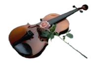 WEBP