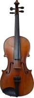 WEBP