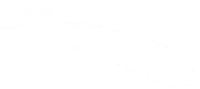WEBP