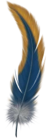 WEBP