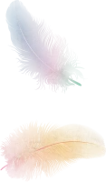 WEBP