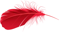 WEBP
