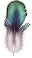 WEBP
