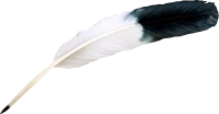 WEBP