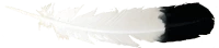 WEBP