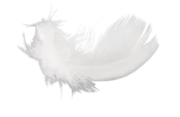 WEBP