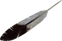 WEBP