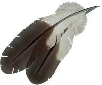 WEBP