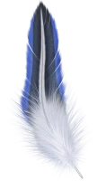 WEBP