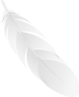 WEBP