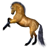 WEBP