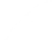 WEBP